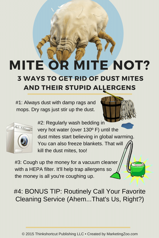 rid_of_dust_mites.png