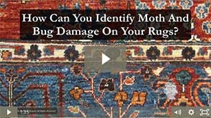 Identify Moth and Bug Damage to Rugs
