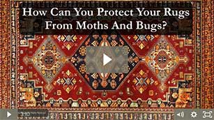 Protecting Your Rugs from Insects and Moths