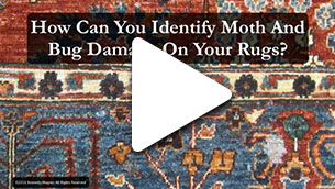 How To Prevent Bug Damage to Rugs