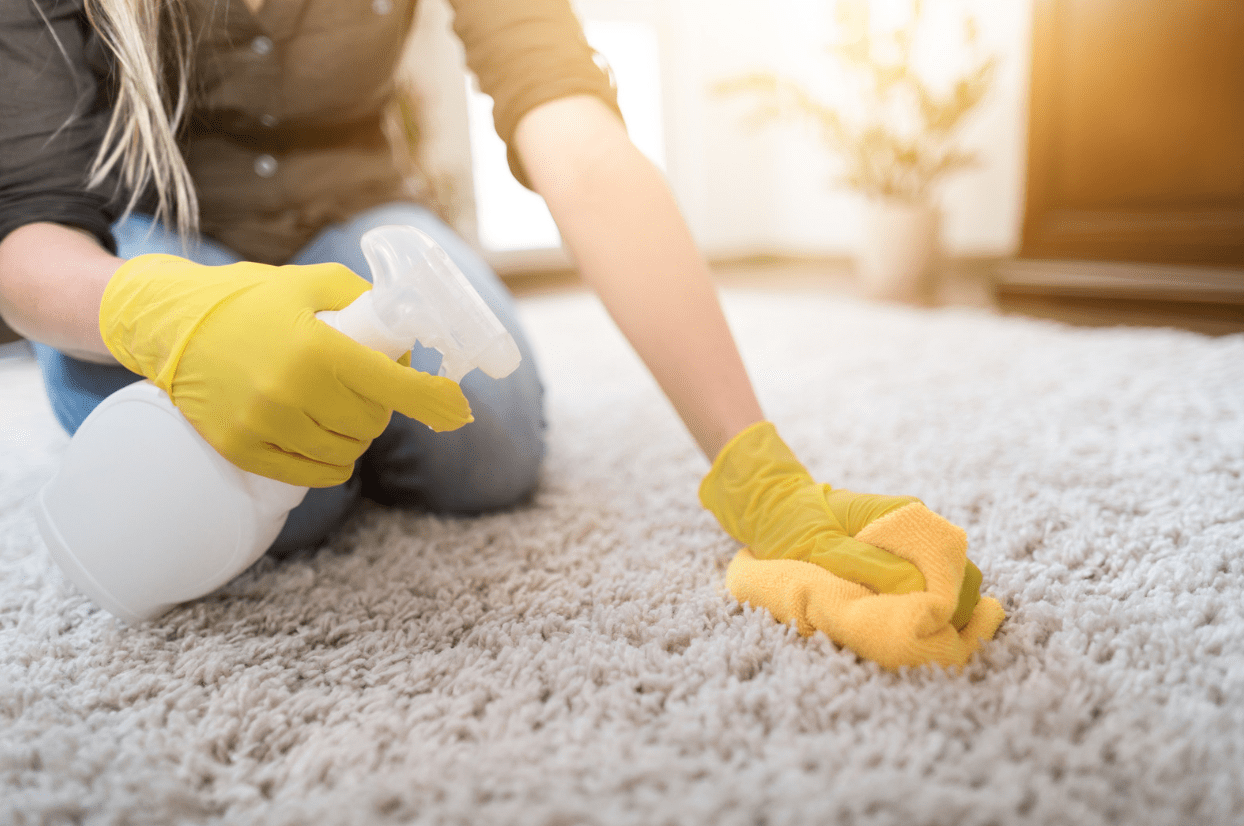 Seasonal Rug Care Tips: Protecting Your Rugs Year-Round with Rug Renovating