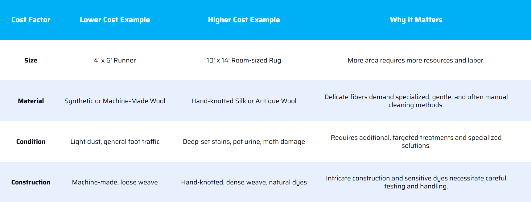 Northeast living room with a large Oriental rug in warm daylight, symbolizing professional rug cleaning and care